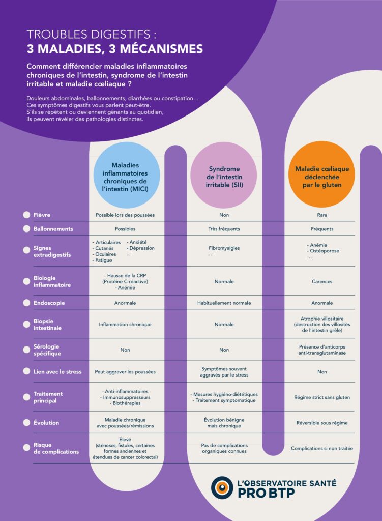 Ressources 1 Op 35 Infographie MICI Vdef pdf